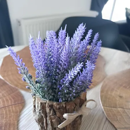 Апартаменты Casa Matei Coresi