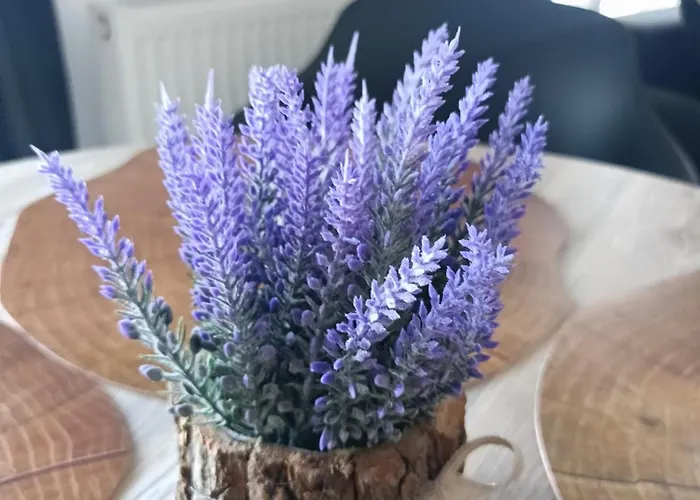 Apartment Casa Matei Coresi